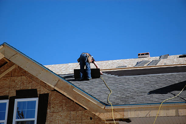 Roof Moss and Algae Removal in Greensboro, MD